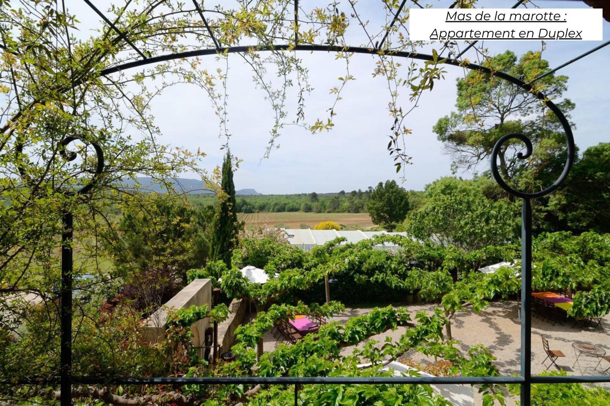 Domaine Les Terres De Saint-hilaire Apartment *