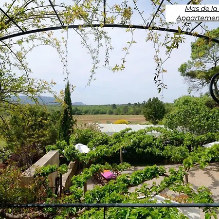 Domaine Les Terres De Saint-Hilaire Apartment Ollieres Exterior photo