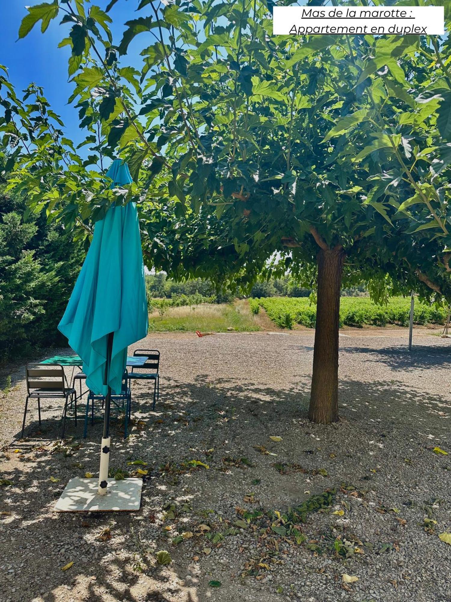 Domaine Les Terres De Saint-hilaire *